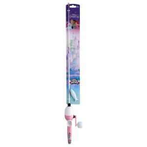 Disney® Princess Advanced Combo
